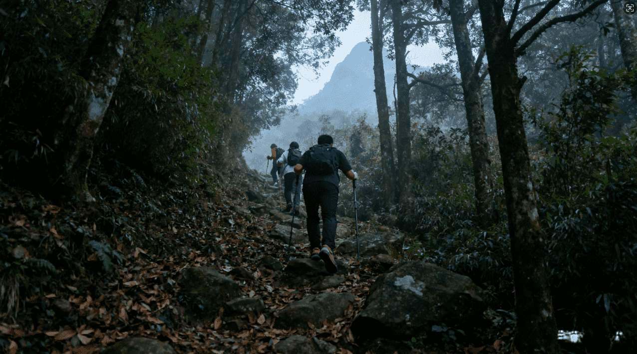 光线VPN加速器的专业性能介绍